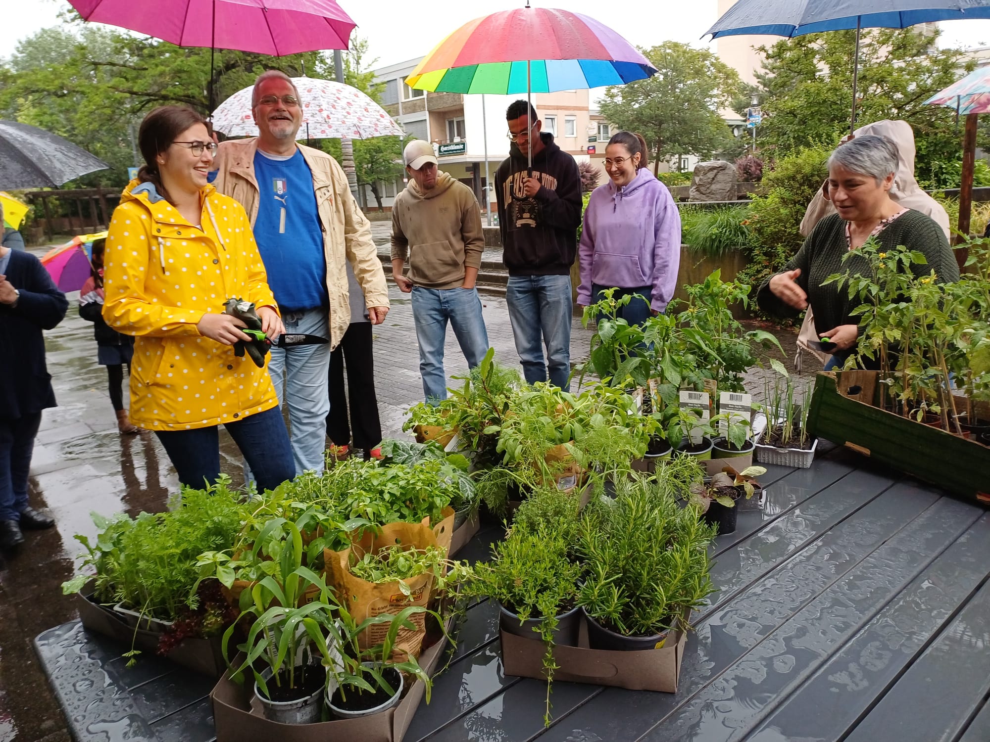Verfügungsfonds Projekte